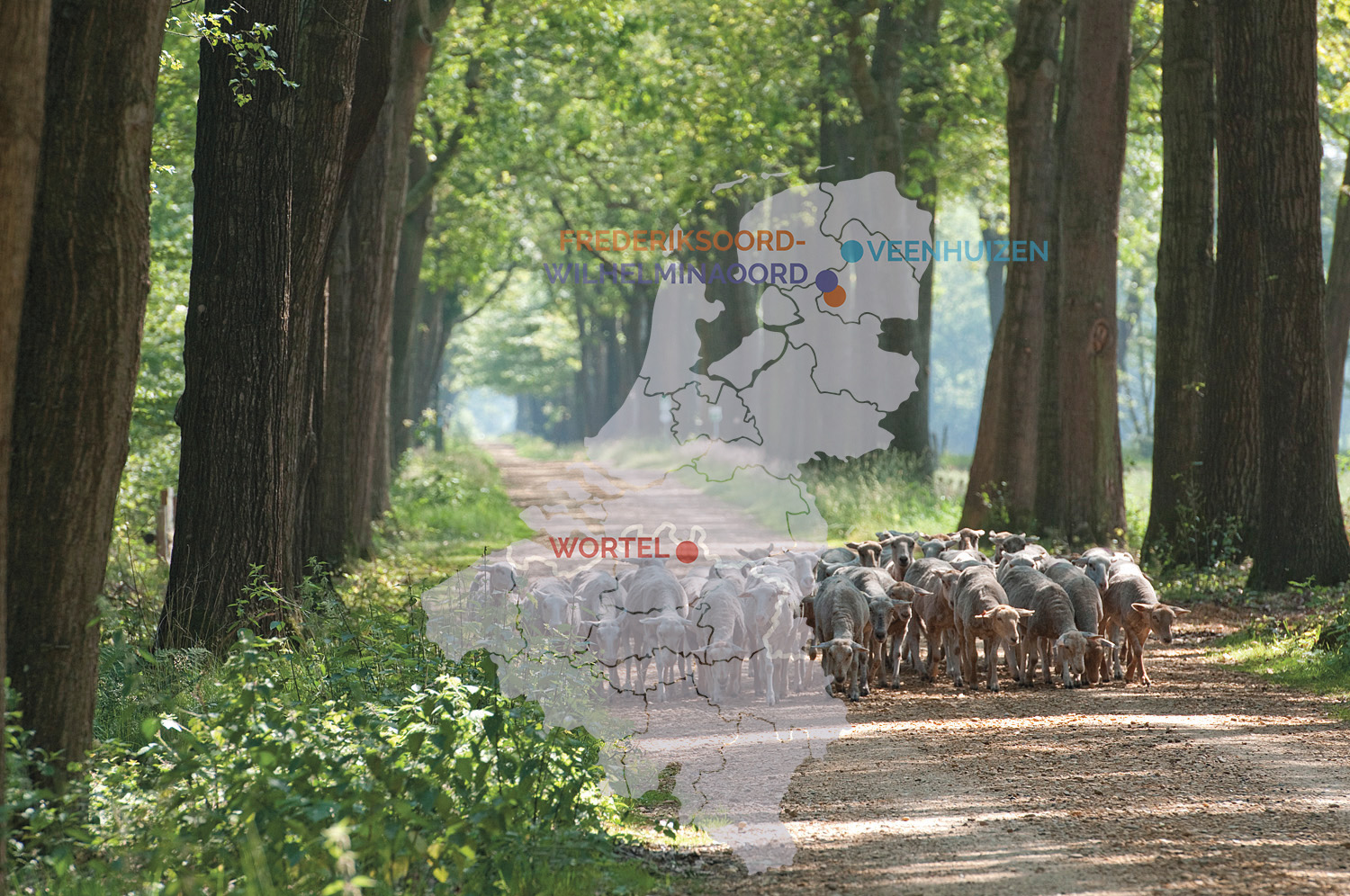 Werelderfgoed Koloniën van Weldadigheid landschap